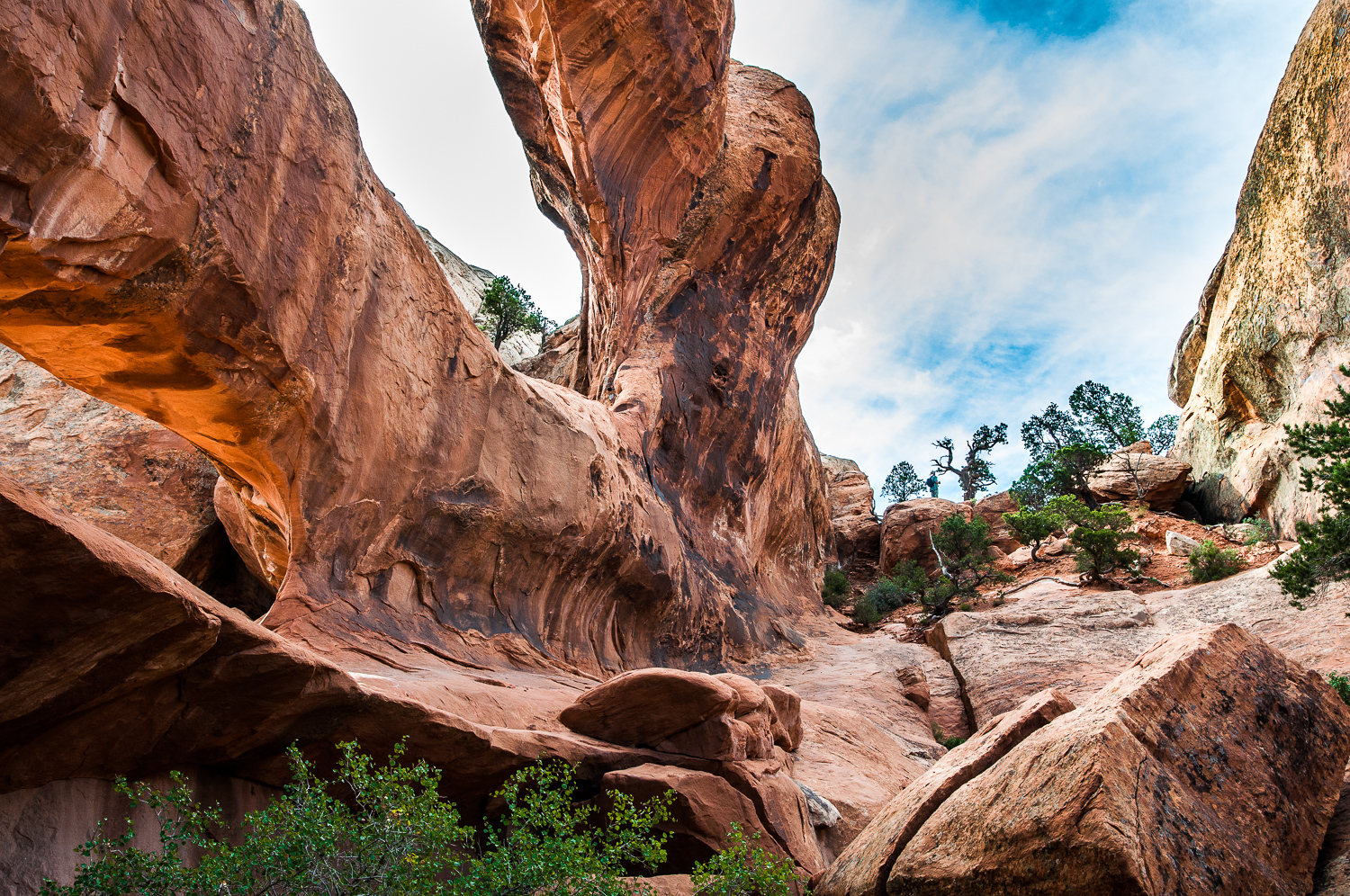 Arches Park