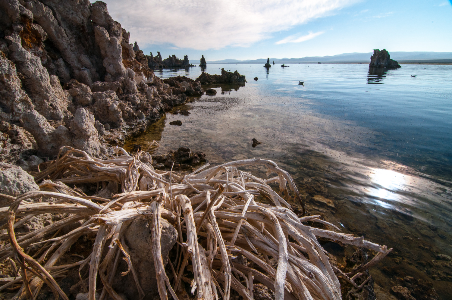 Mono Lake