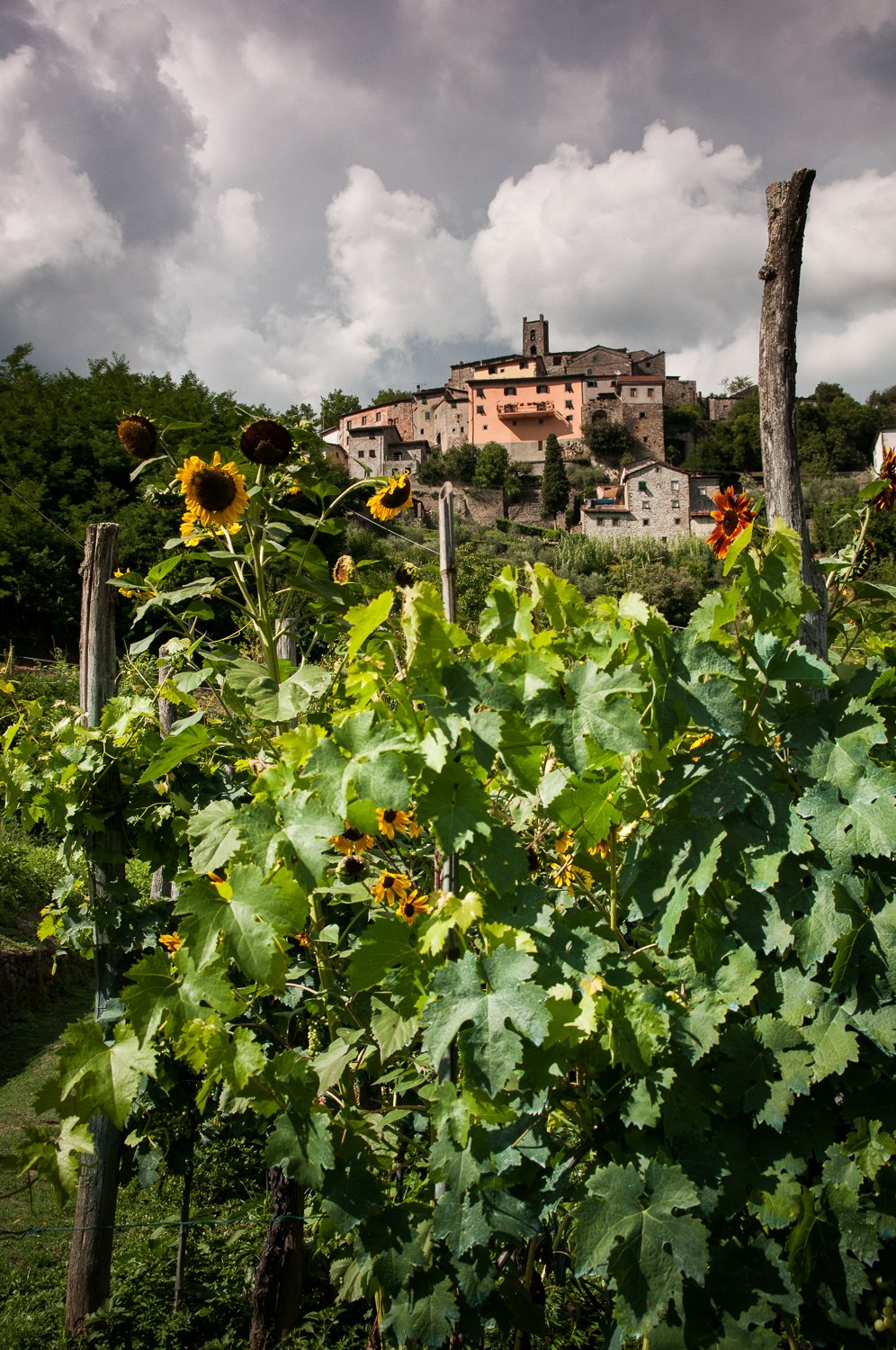 Toscane