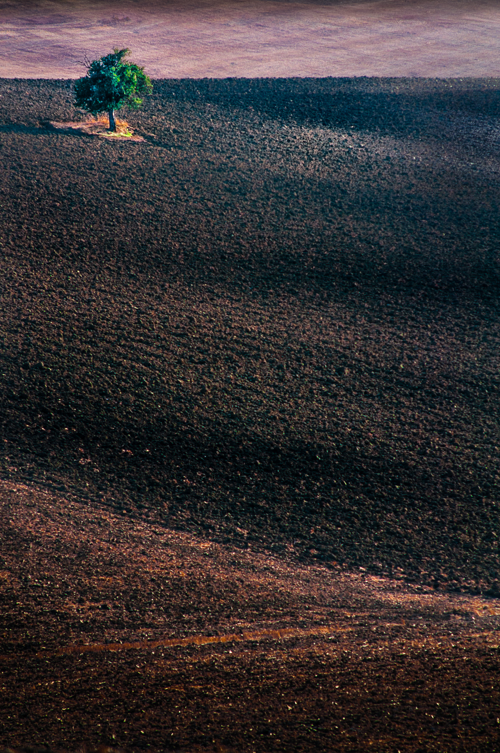 Campagne autour de Pienza