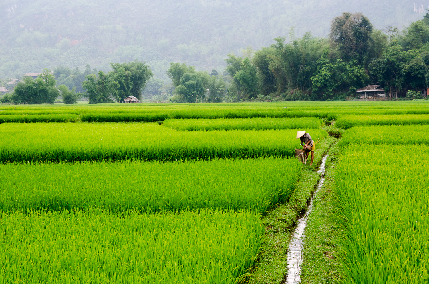 Ninh-Bin