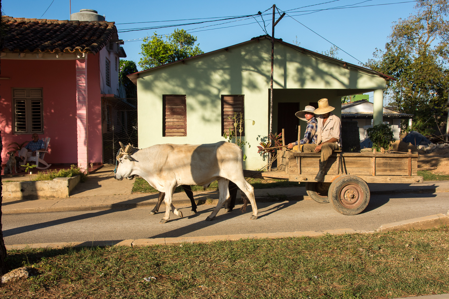 Cuba - Viñales