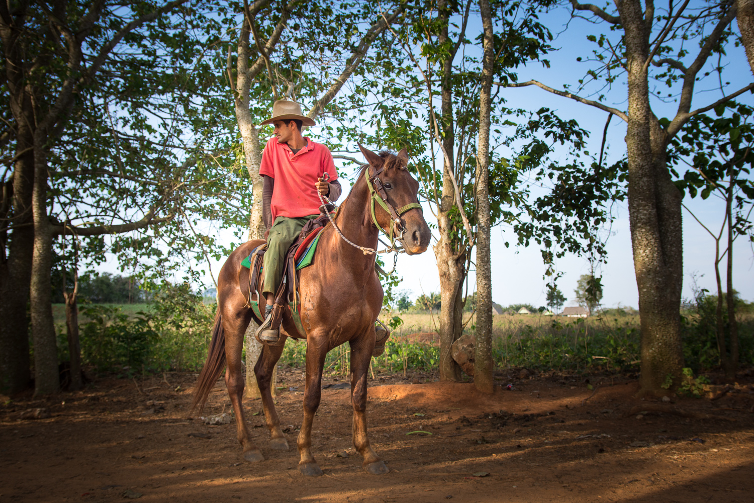 Cuba - Viñales