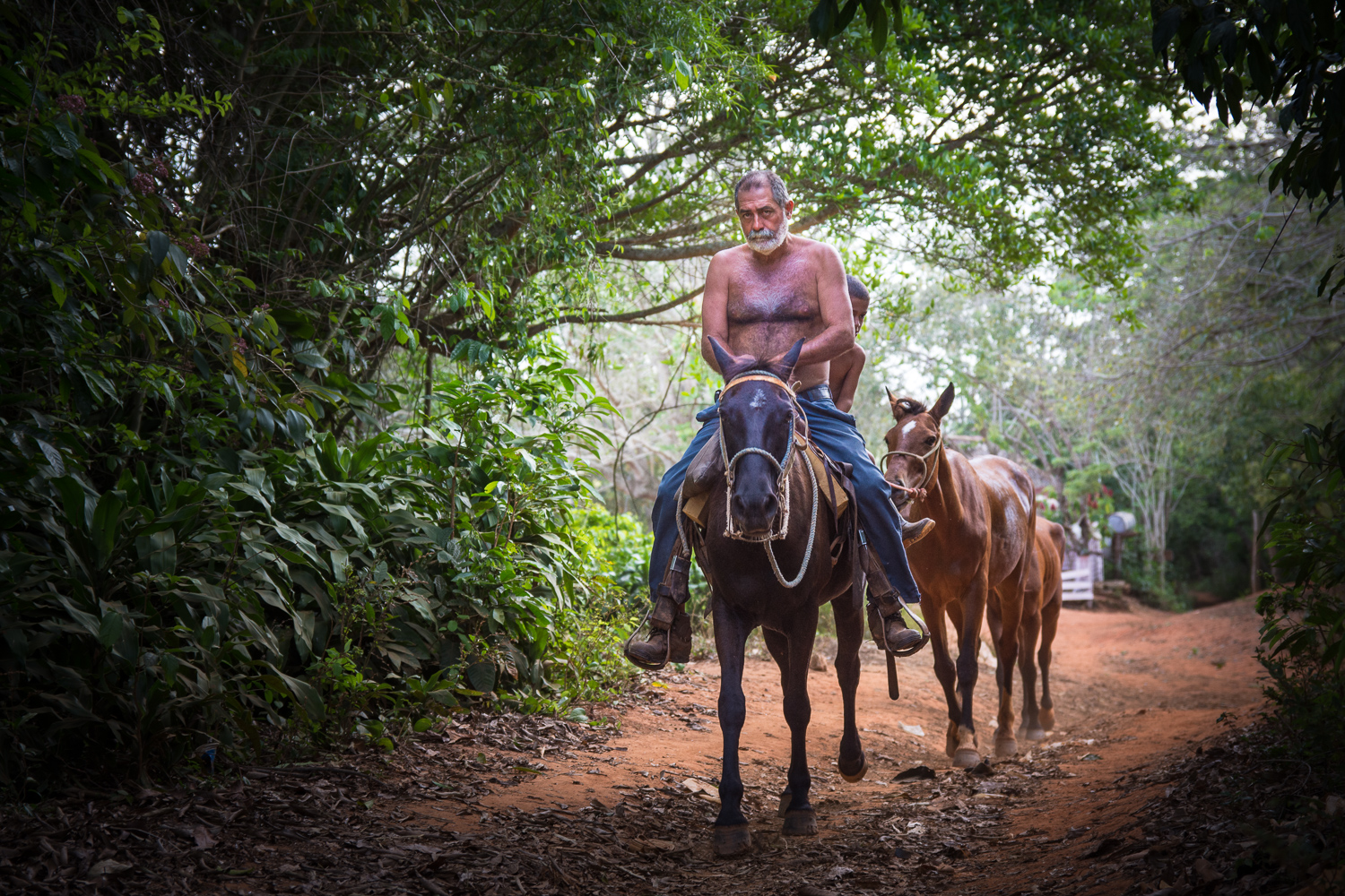 Cuba - Viñales