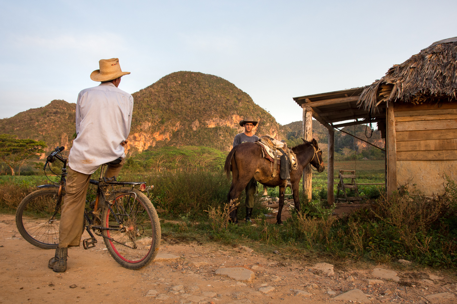 Cuba - Viñales