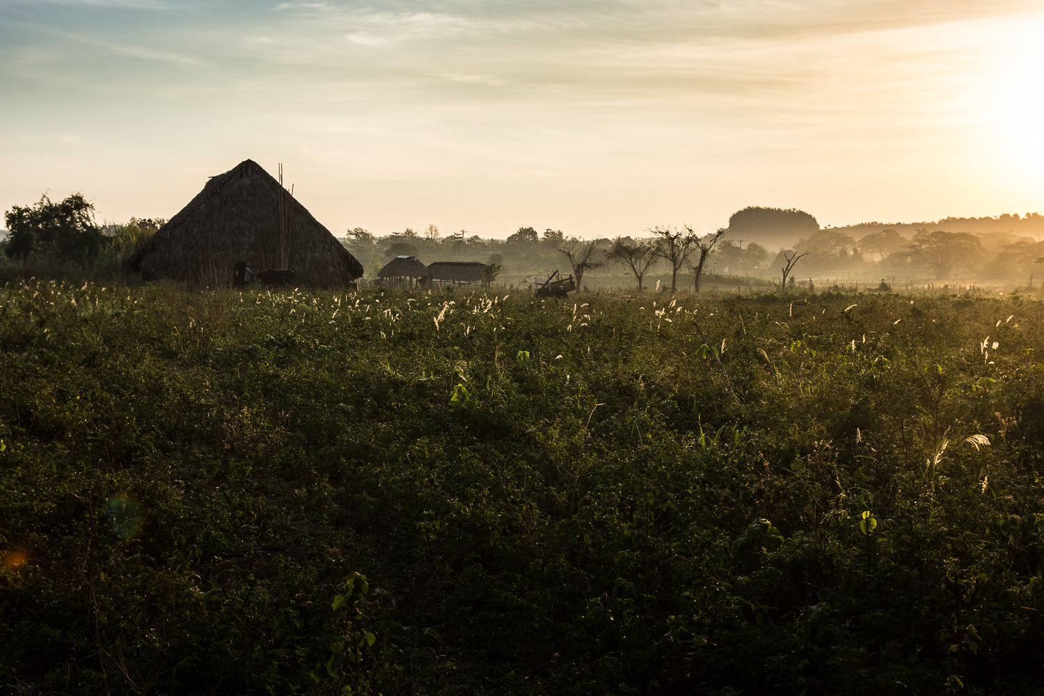 Cuba - Viñales