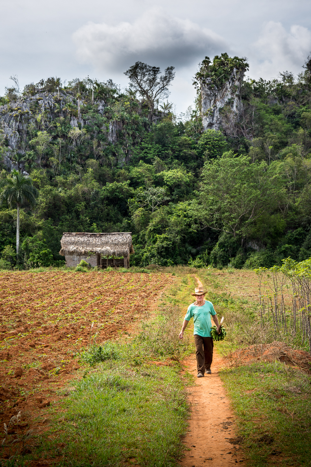 Cuba - Viñales