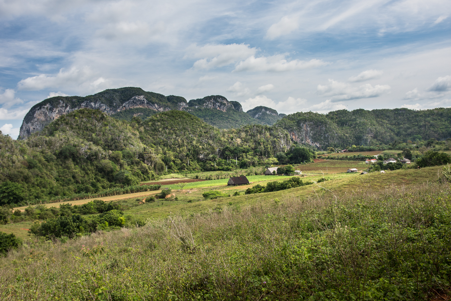 Cuba - Viñales