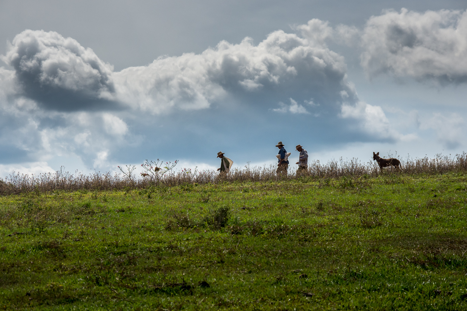 Cuba - Viñales