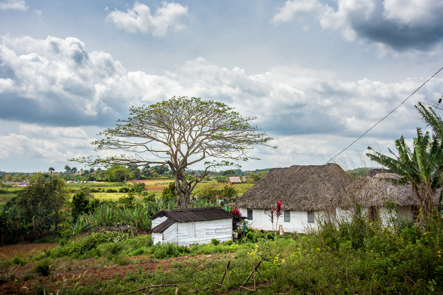 Cuba - Viñales