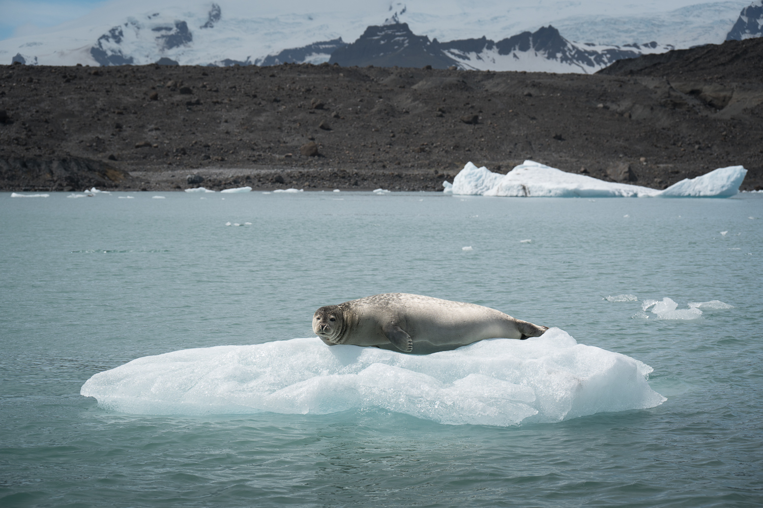 Jökulsárlón Glacier