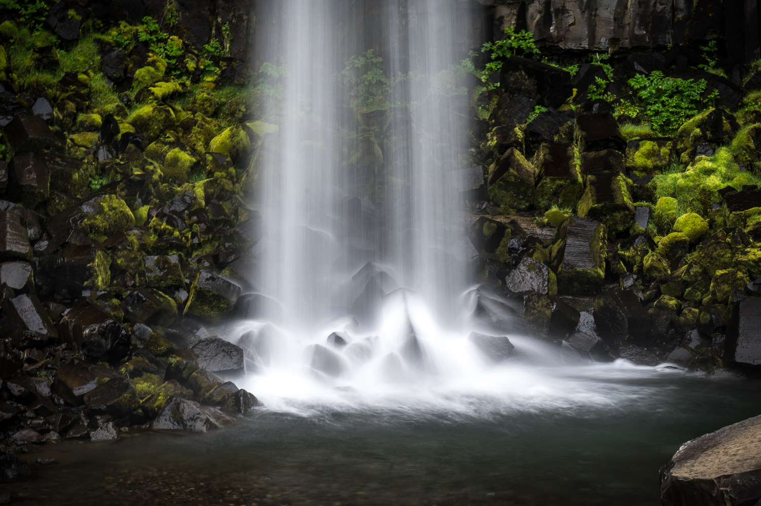 Svartifoss