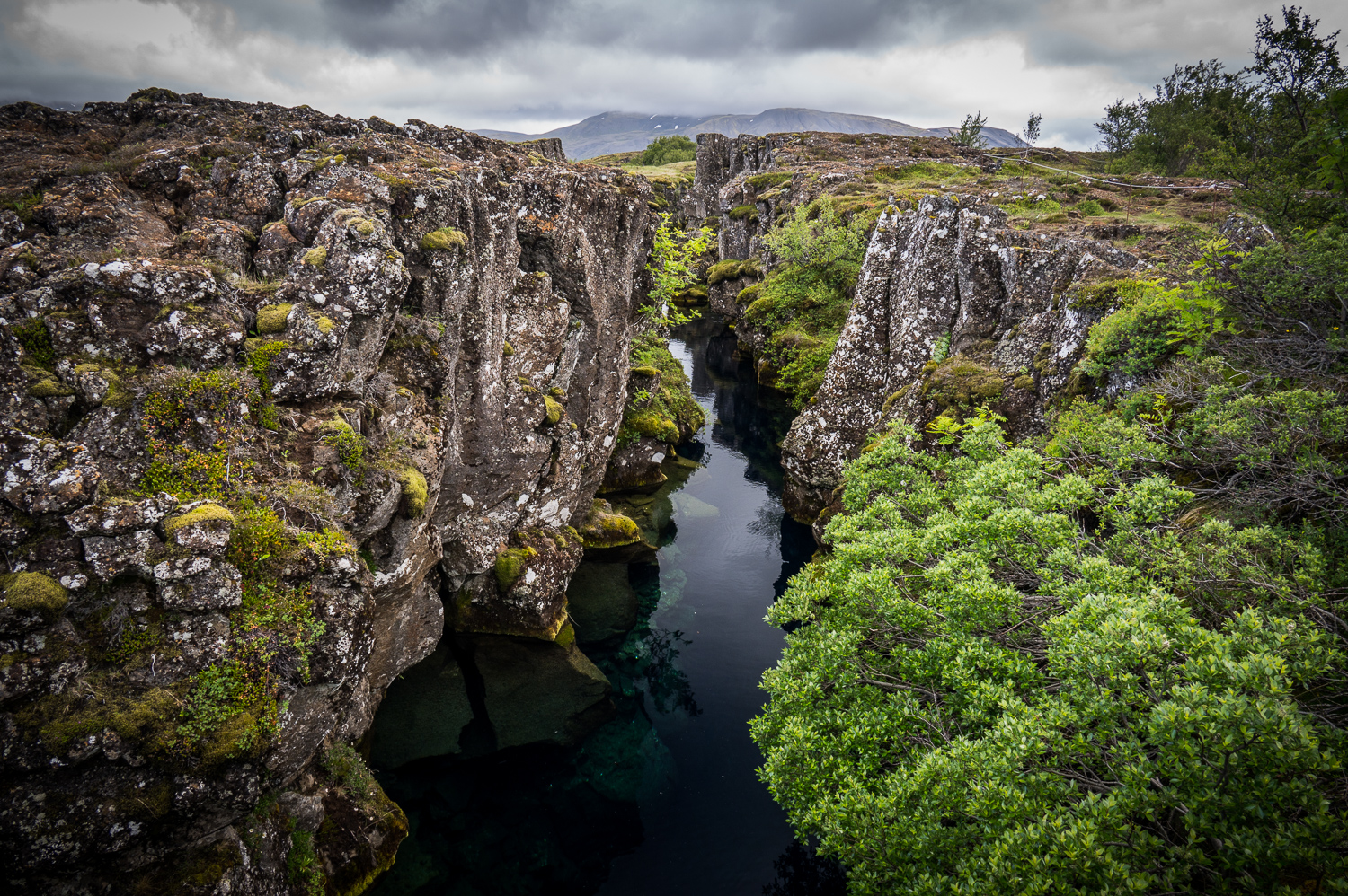 Parc de Thingvellir