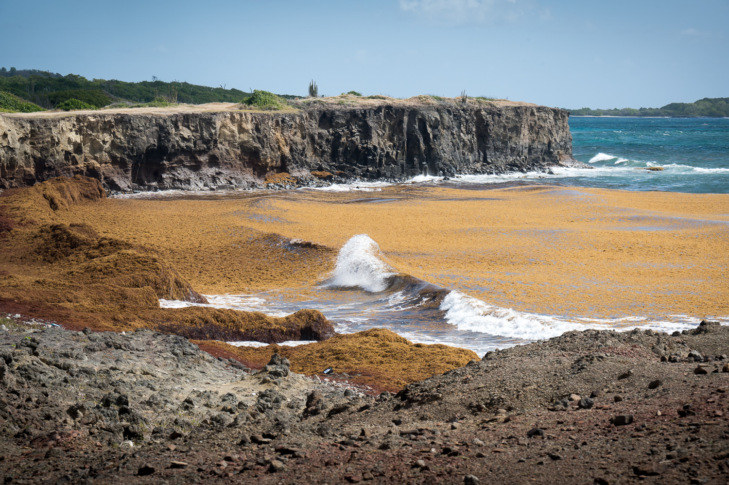 Martinique