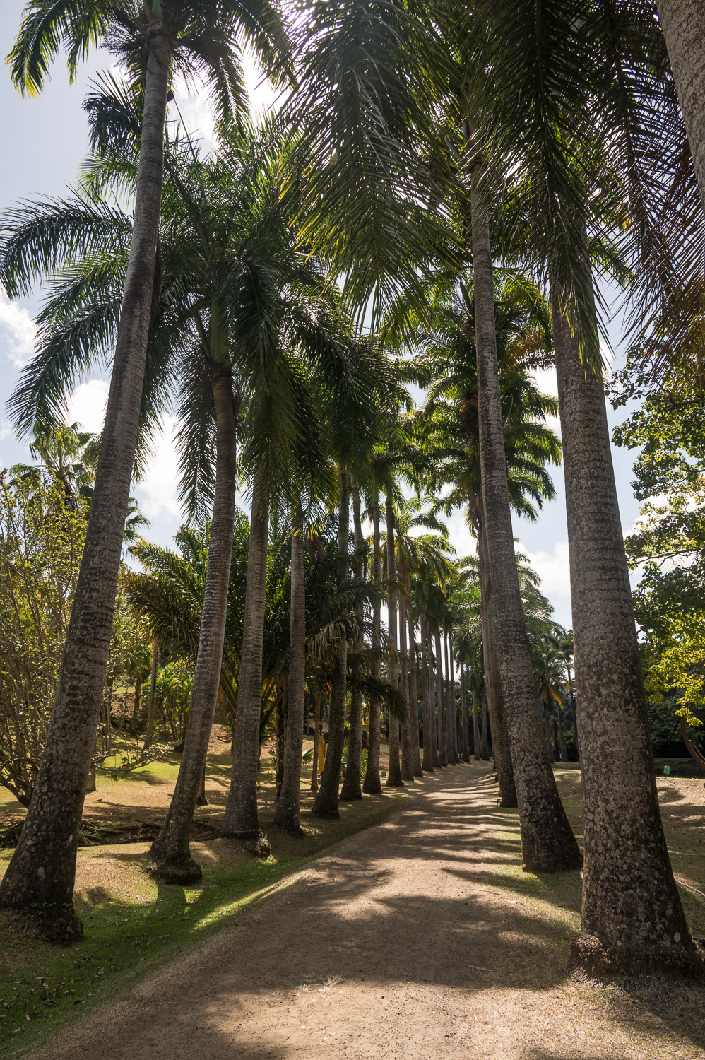 Martinique