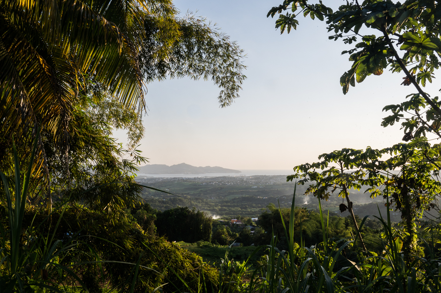 Martinique