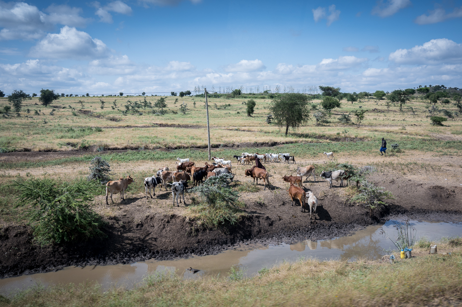 Tanzanie