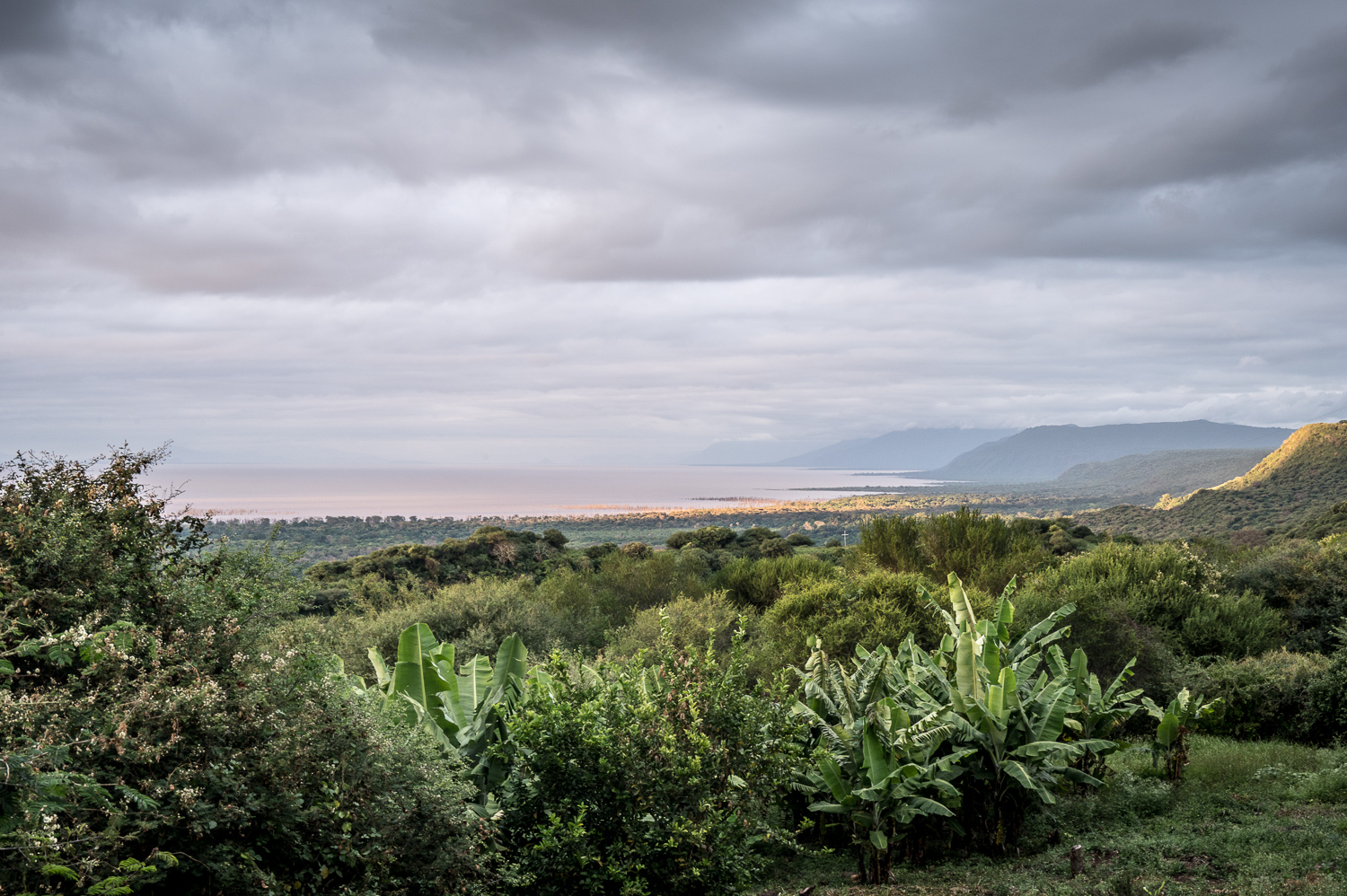 Tanzanie - Lac Manyara