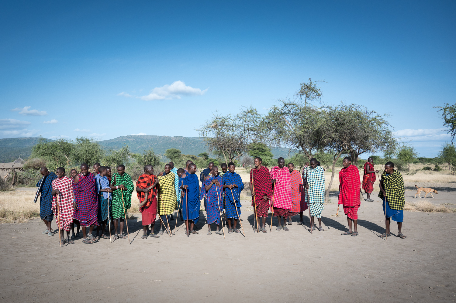 Tanzanie - Tribue Massaï