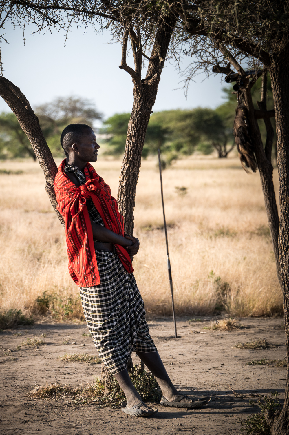 Tanzanie - Massaï