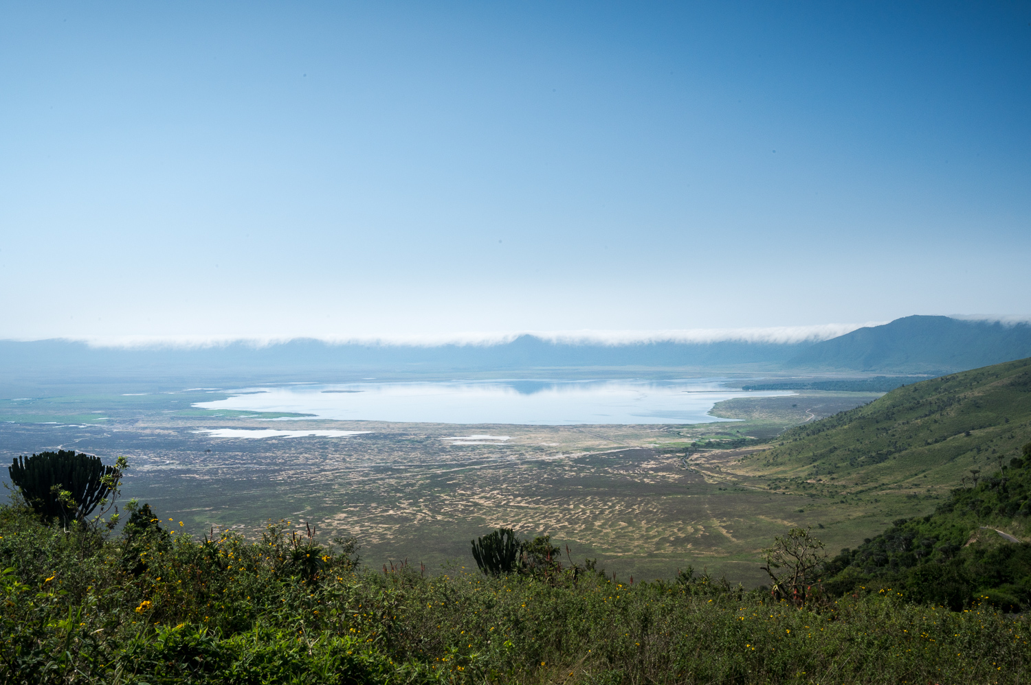 Tanzanie - Cratère du Ngorongoro