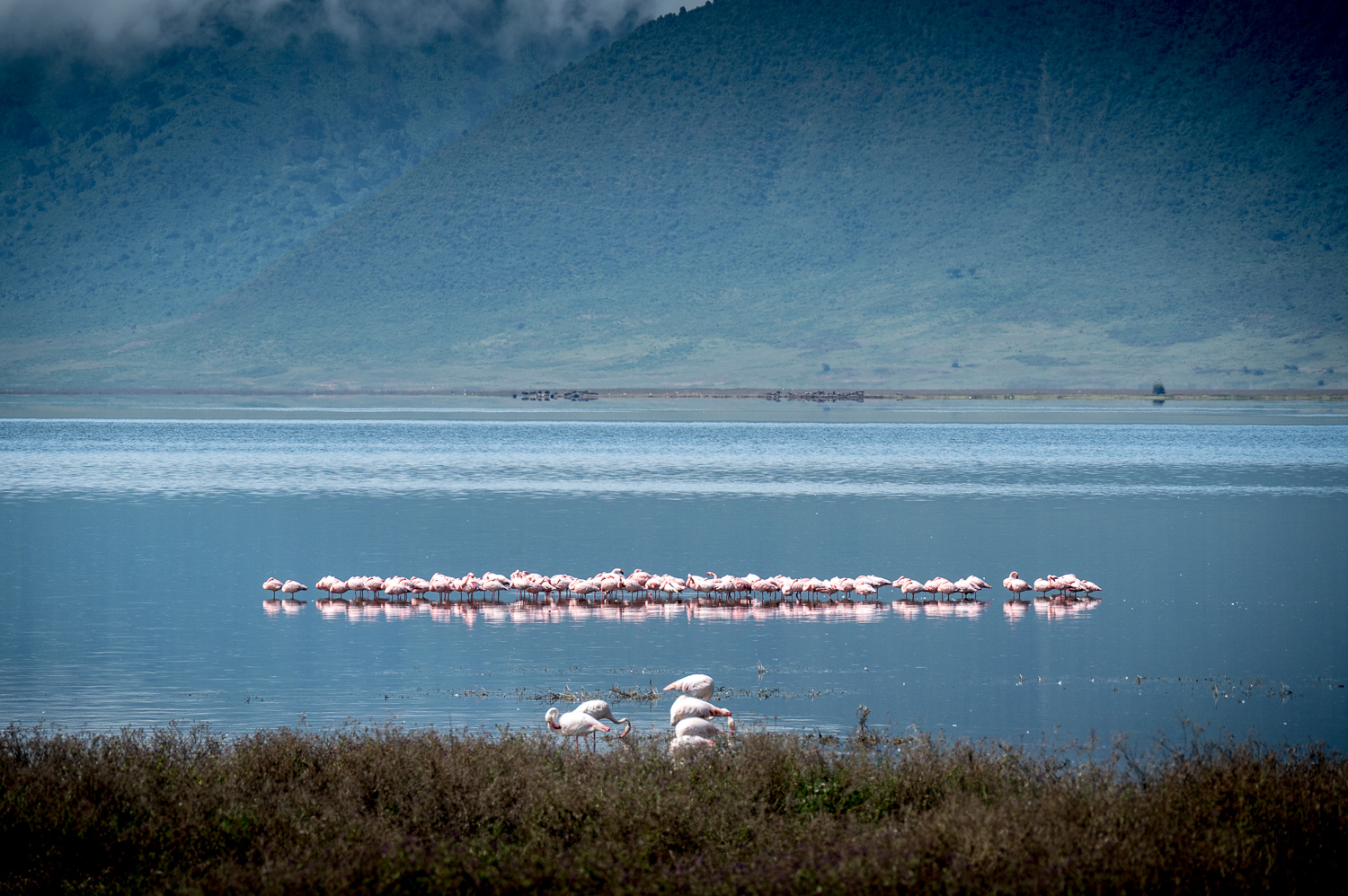 Tanzanie - Parc du Ngorongoro