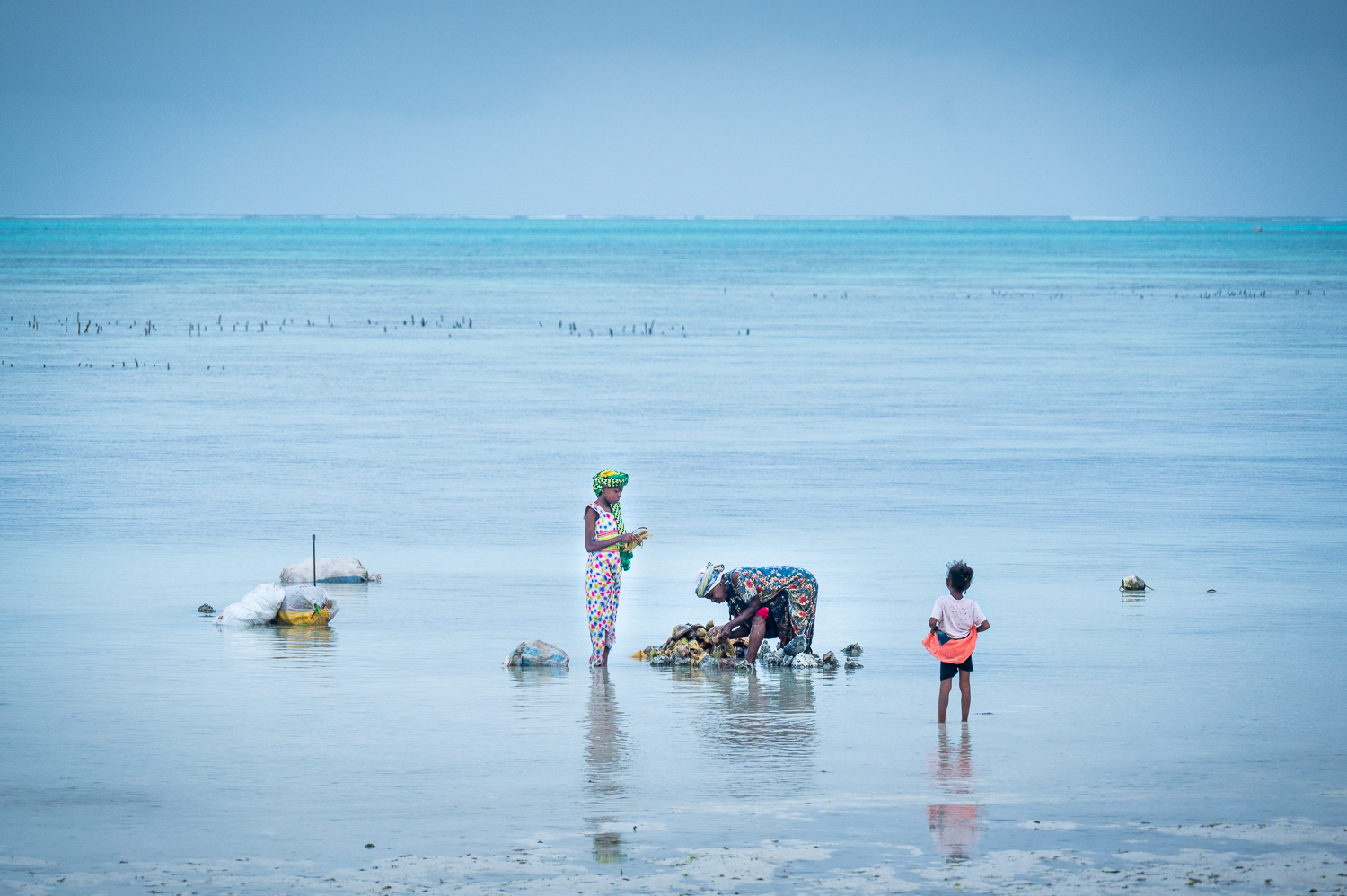 Zanzibar