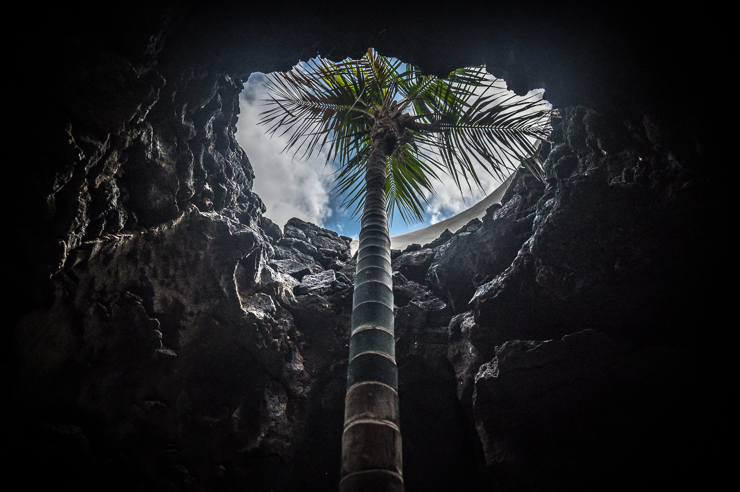 Maison de Cesar Manrique